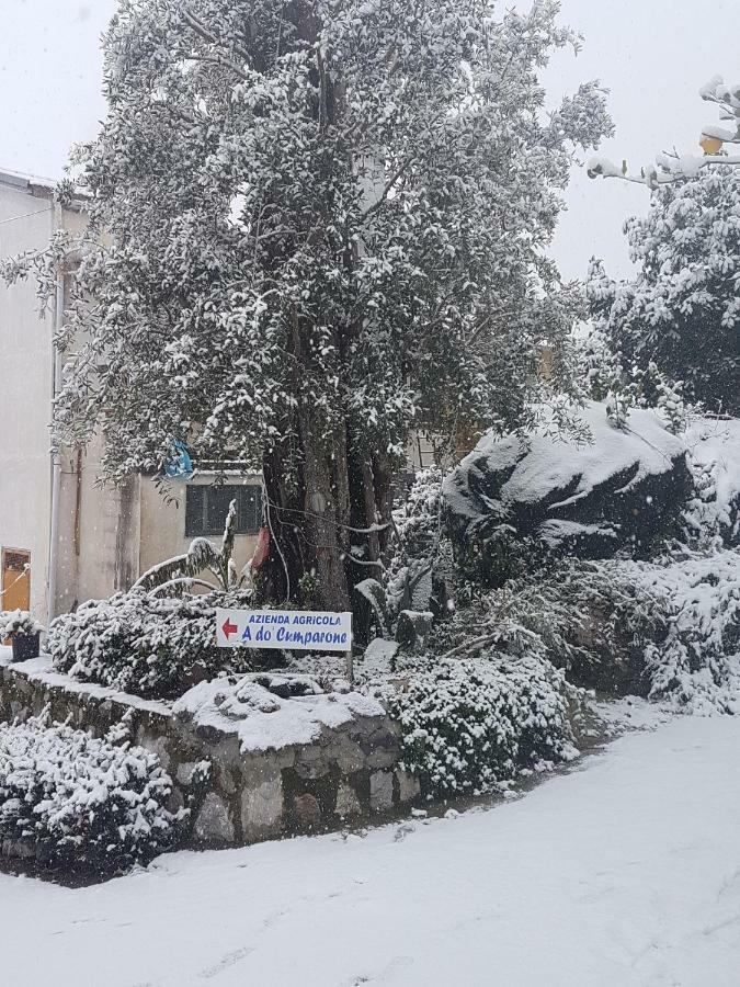 Agriturismo A Do' Cumparone Corbara  Екстер'єр фото