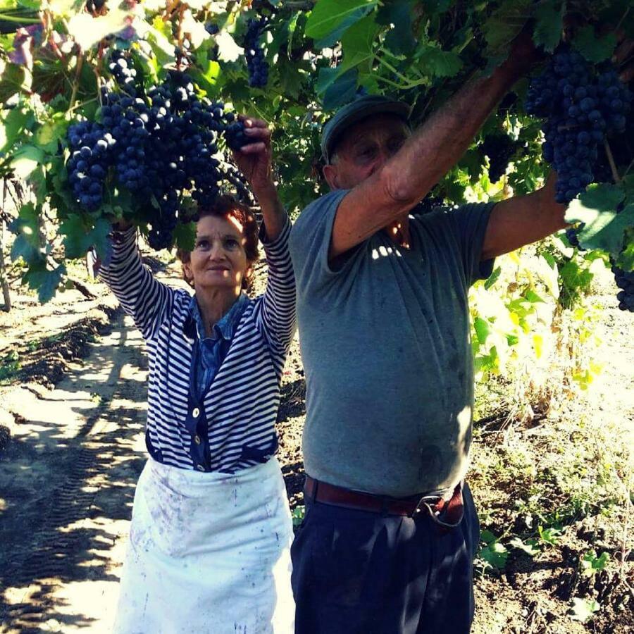 Agriturismo A Do' Cumparone Corbara  Екстер'єр фото