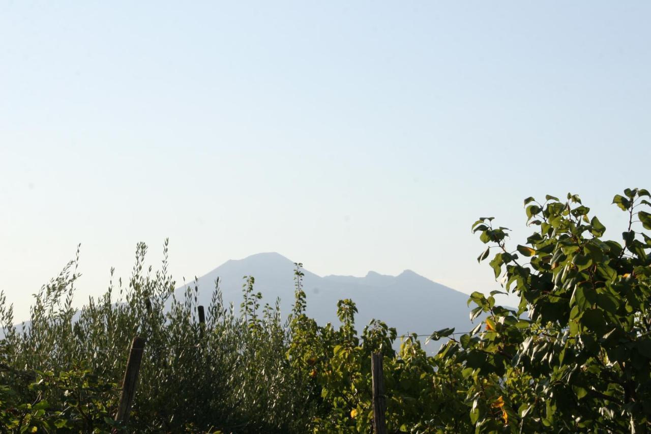 Agriturismo A Do' Cumparone Corbara  Екстер'єр фото